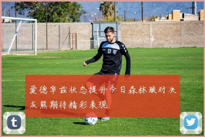 爱德华兹状态提升今日森林狼对决灰熊期待精彩表现
